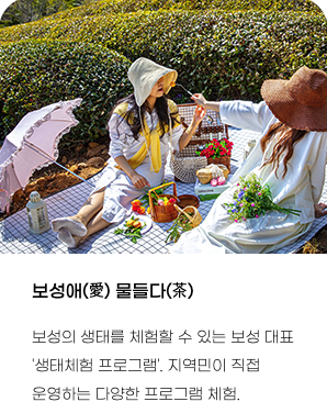 2025 보성 다향대축제 라인업&amp;#44; 2025 보성다향대축제 가수&amp;#44; 2025 보성다향대축제 기본정보