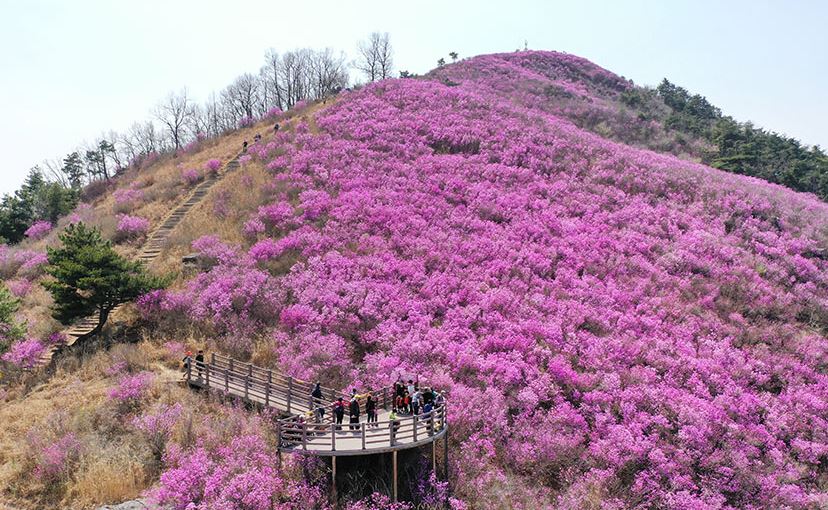 밀양 가볼만한곳 베스트10