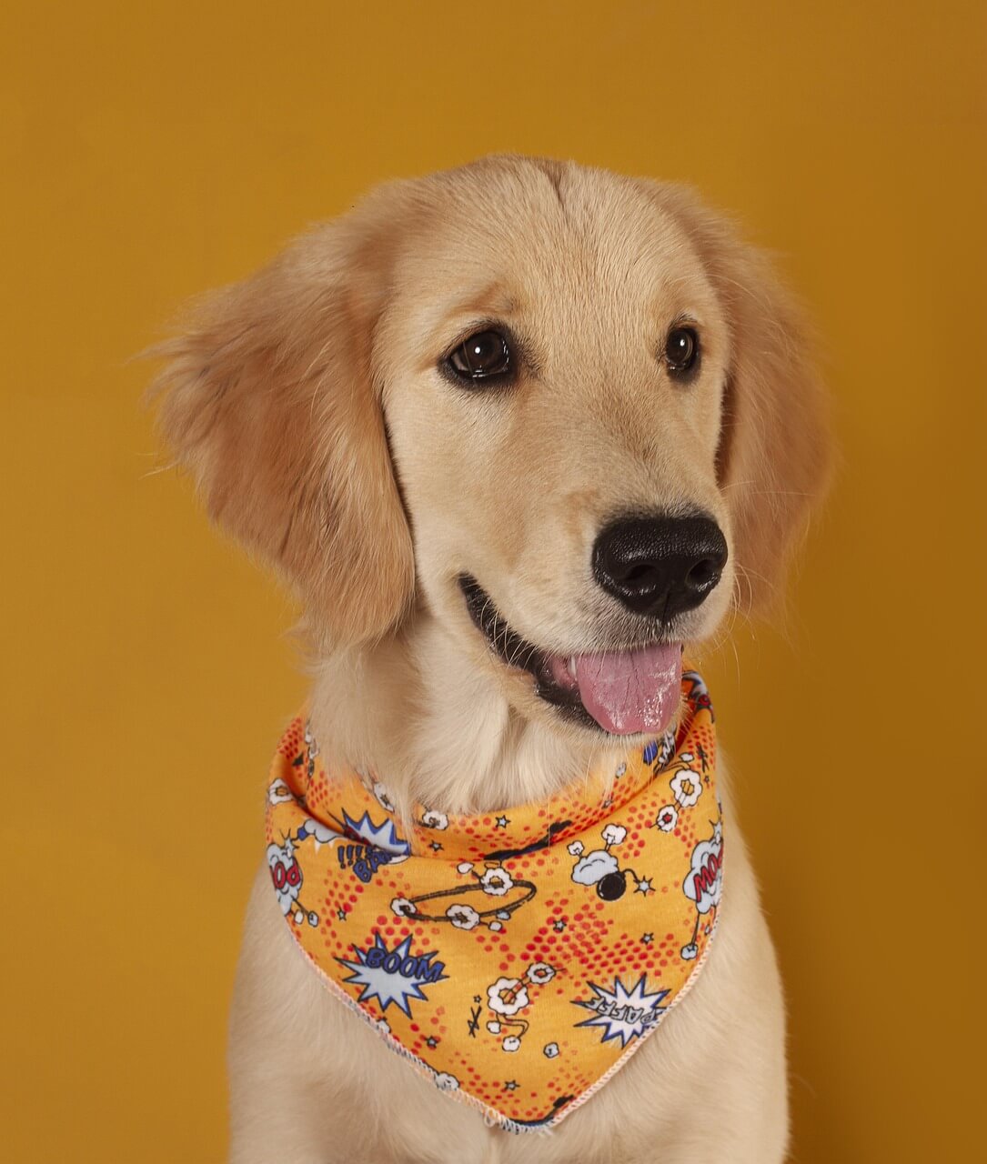 나르시시스트 특징 7가지|카톡·문자 습관으로 보는 심리 패턴