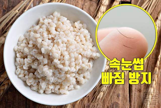 속눈썹 길어지는 음식 보리밥 속눈썹연장