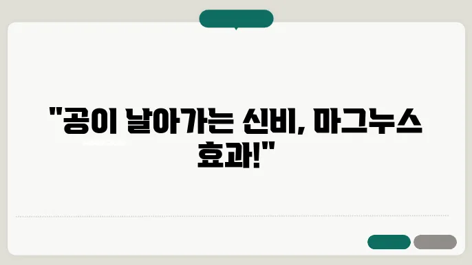 마그누스 효과에 대한 이해