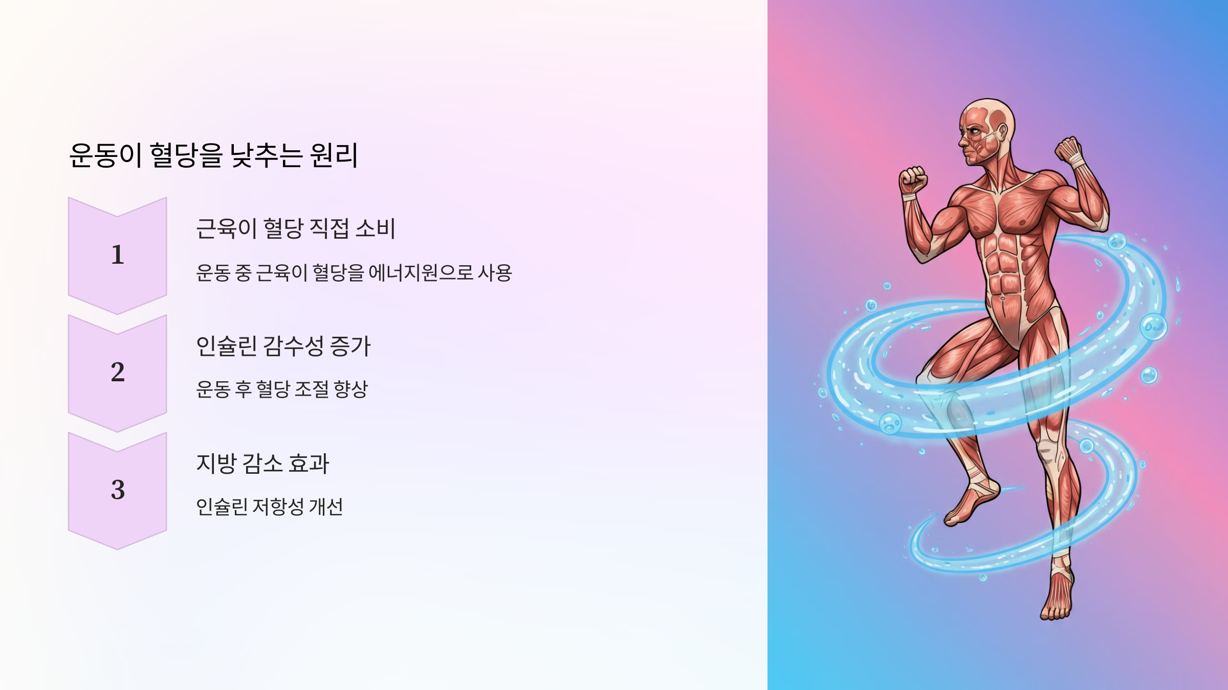 운동이 혈당을 낮추는 원리 이미지