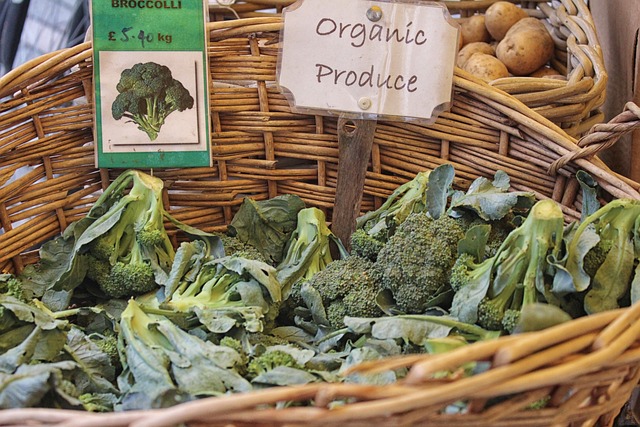 바구니에-담긴-블로콜리