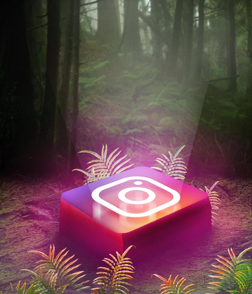 인스타그램 사진