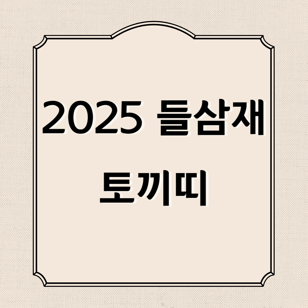 2025년 삼재띠