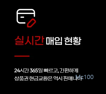 상품권 실시간 현금 교환 핀매니아 가이드