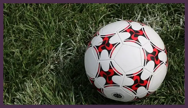 월드컵 경제적 효과: 개최국들의 경제 성장과 리스크 분석