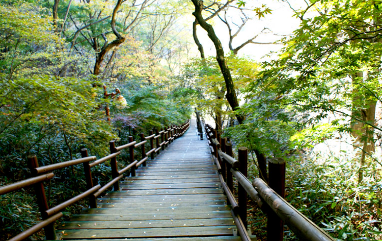 마이산 등산코스