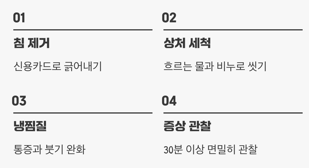 쏘였을 때, 올바른 응급처치법