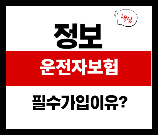 운전자보험 필수 가입 이유! 사고 시 형사처벌까지 대비하는 방법