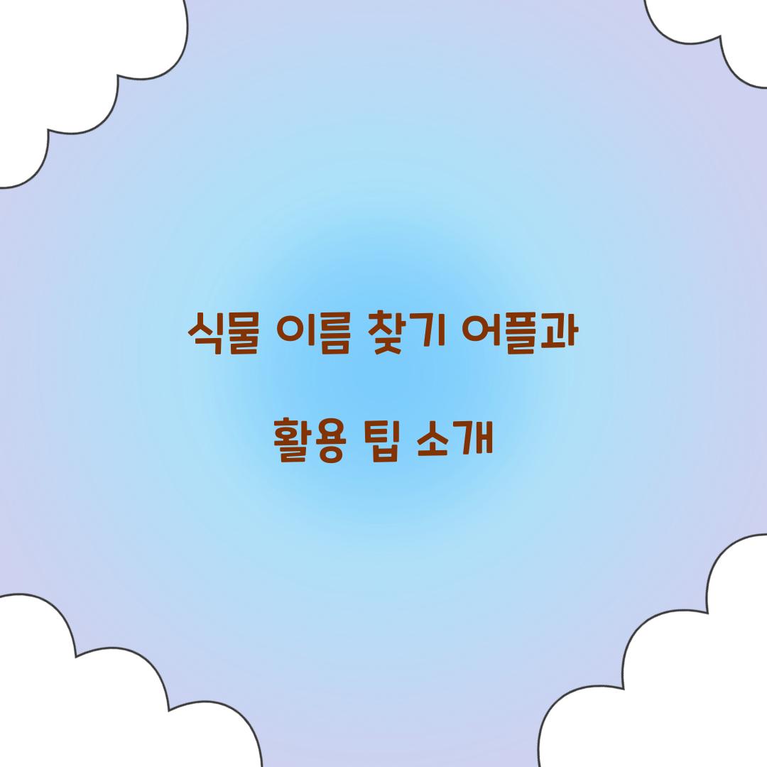 식물 이름 찾기 어플