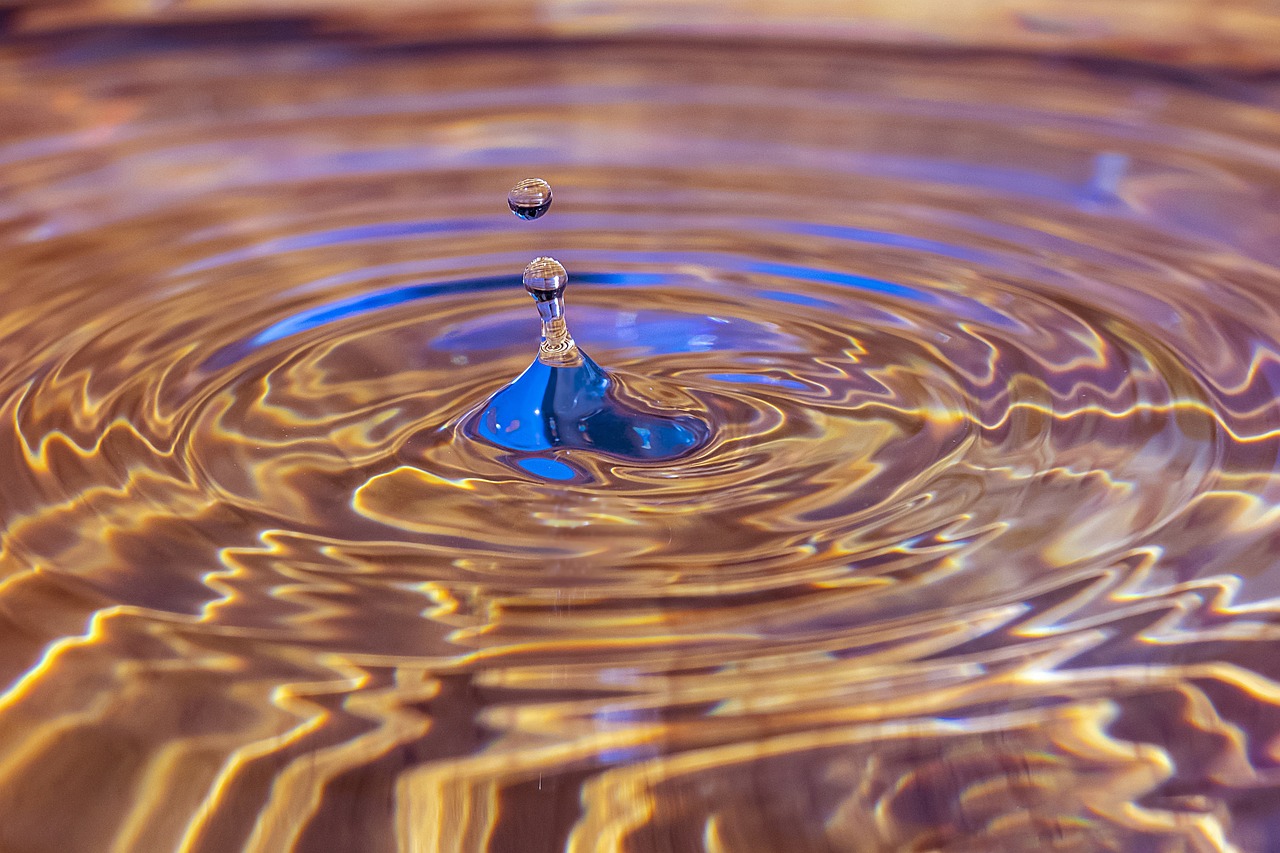곰팡이 제거방법과 제거제 추천 총정리!