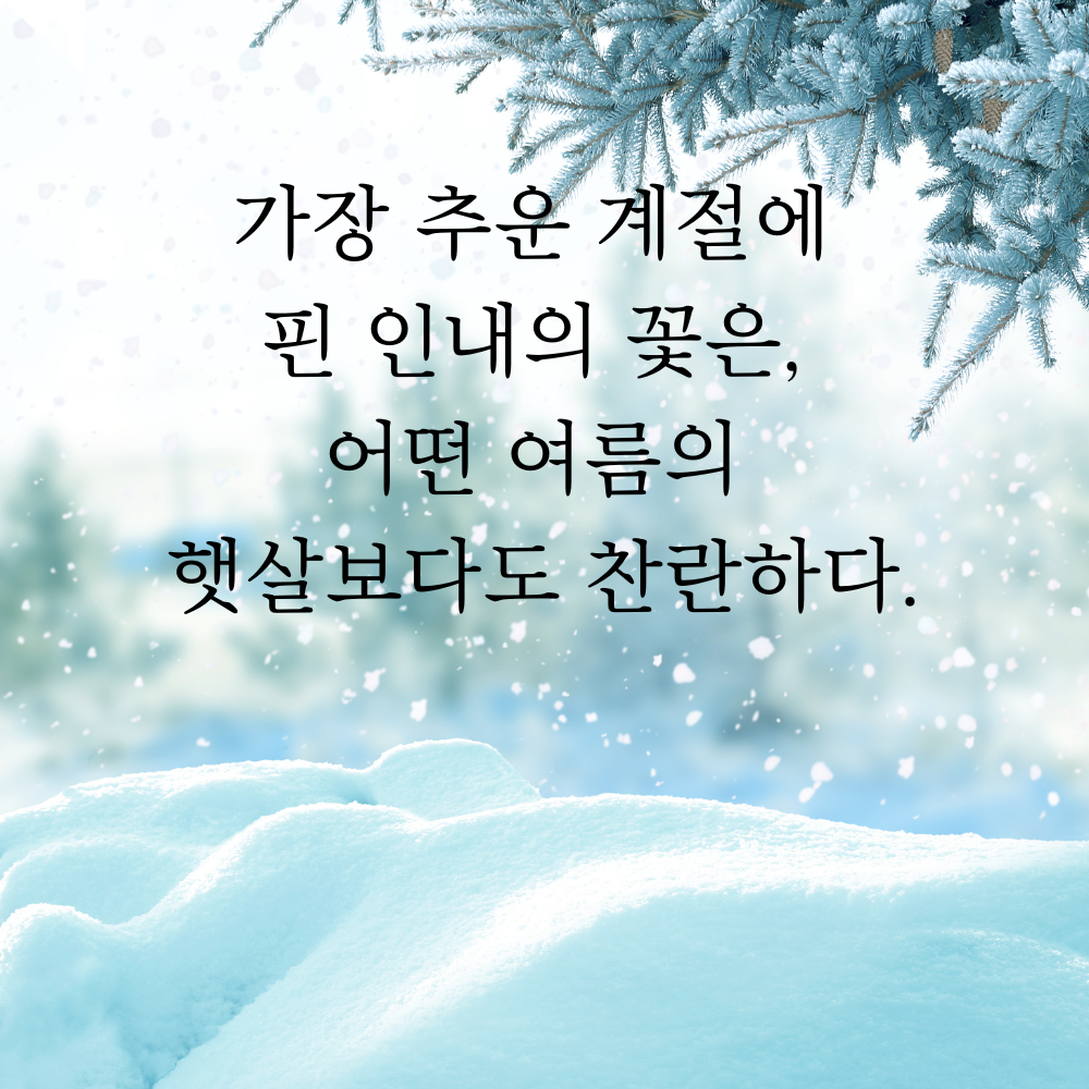 겨울 좋은 글귀 겨울 명언 문구 이미지