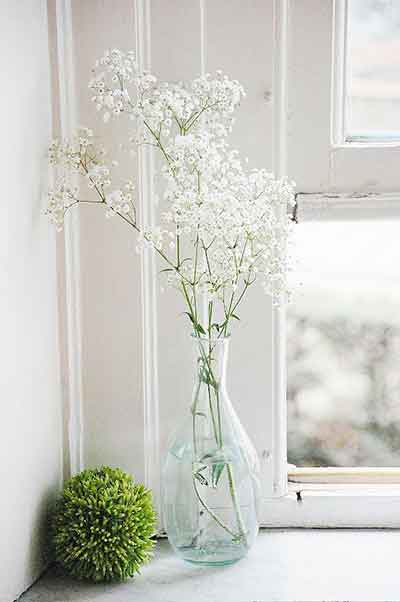 흰색 안개꽃 꽃병