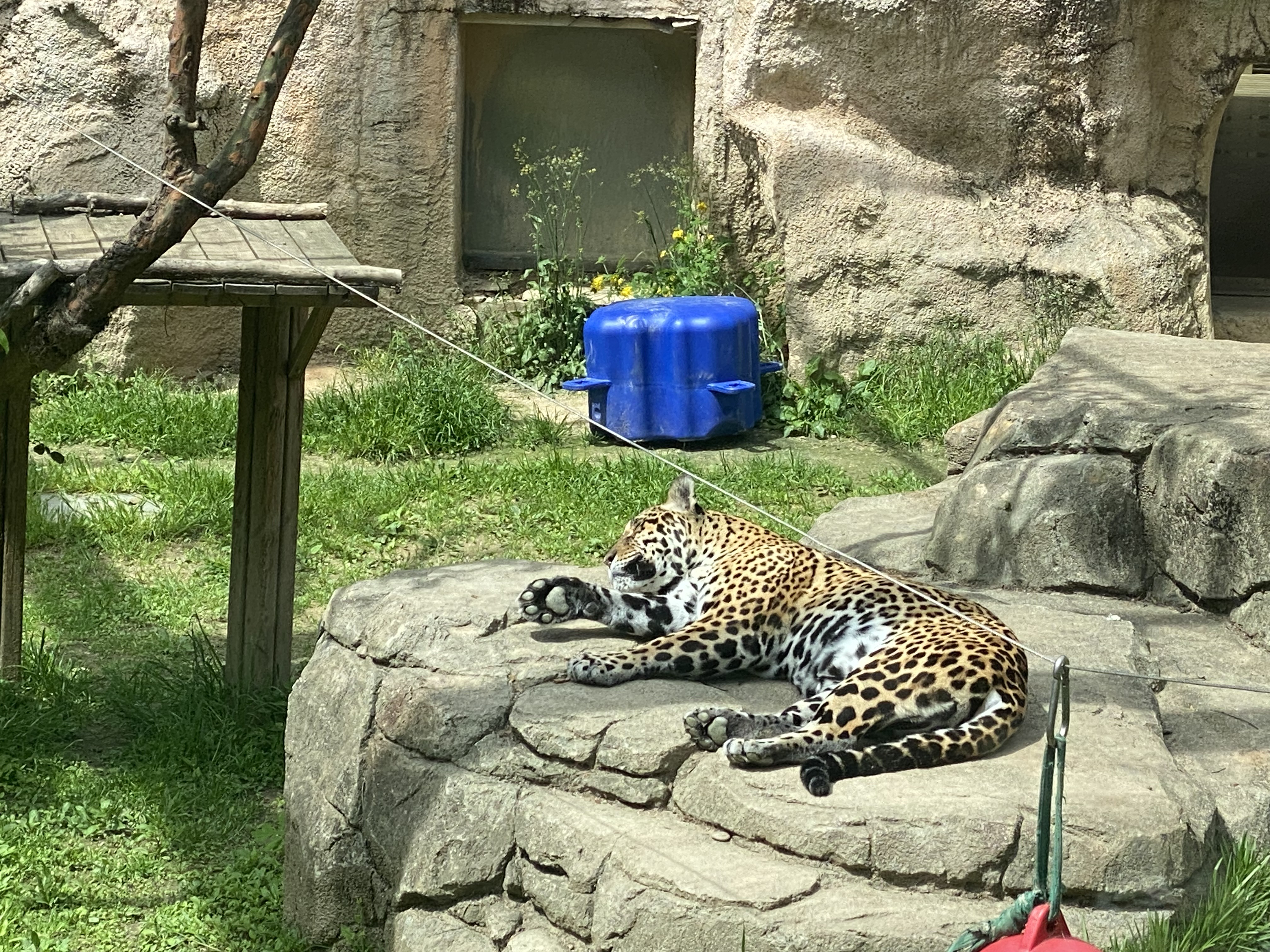 Alt 속성 문제 해결 설명 이미지