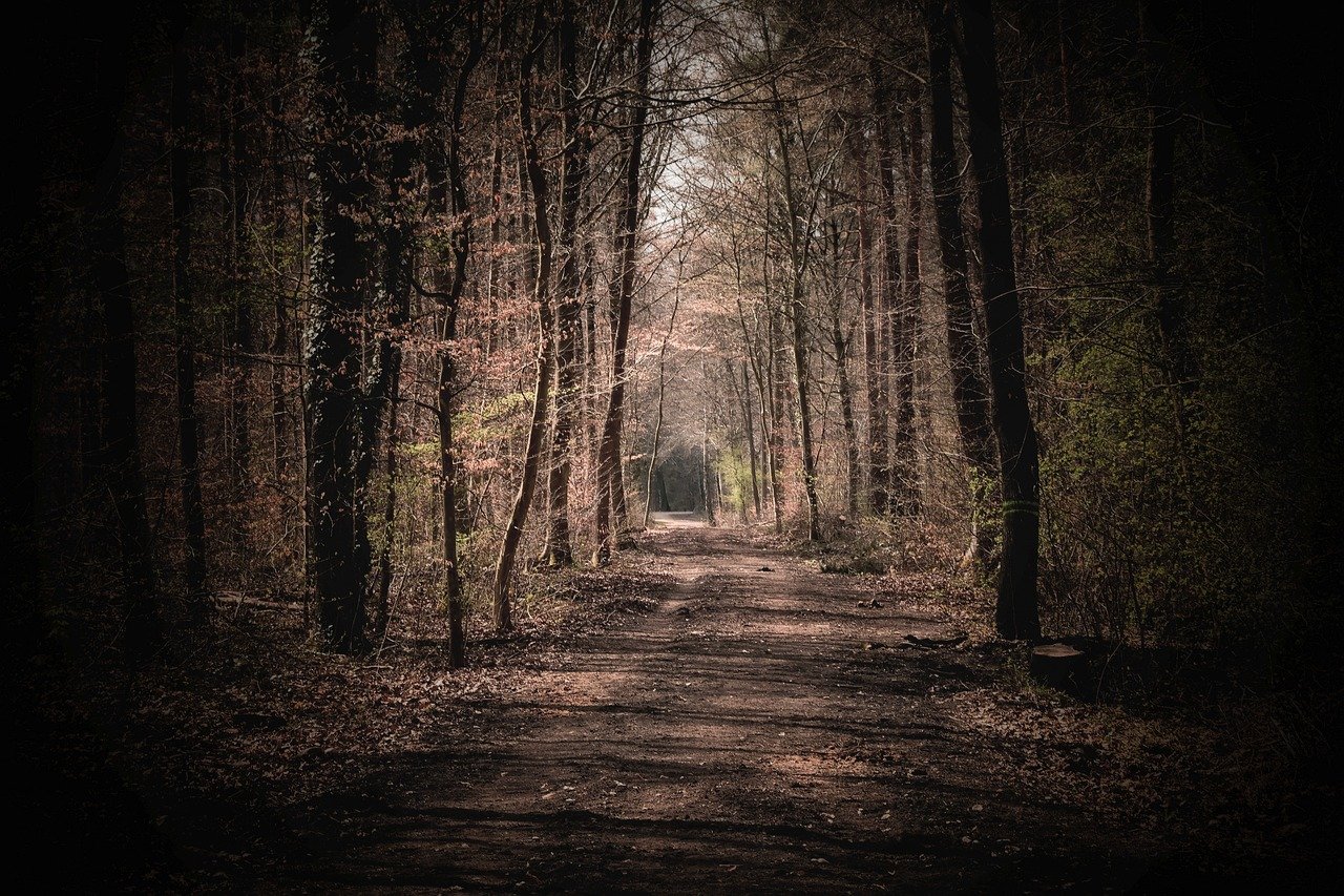 무음 환경이 창의적 사고를 자극하는 심리적 자극