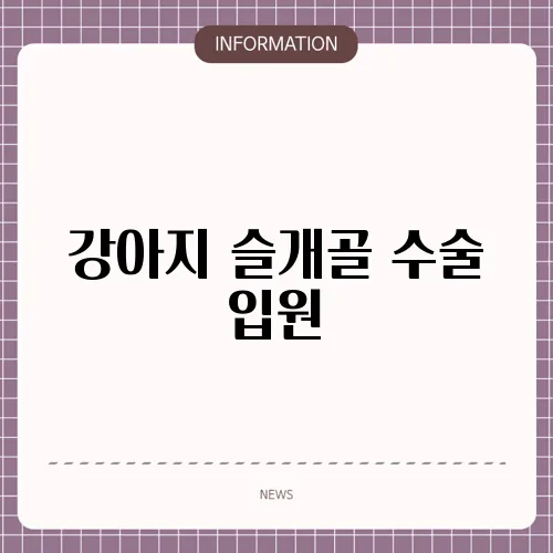 강아지 슬개골 수술 입원