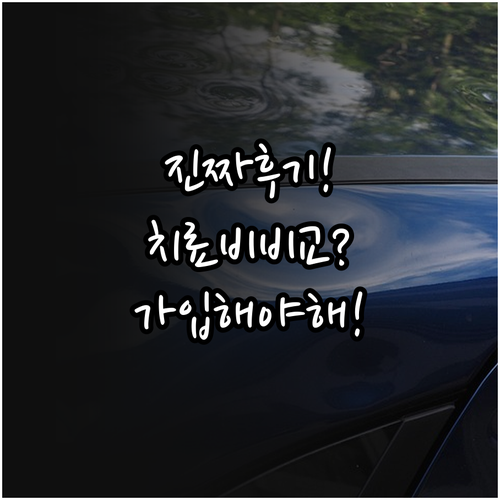 강아지 보험 실제 후기와 치료비 비교..