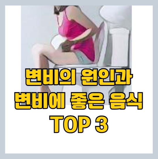 변비의 원인과 이유 ❘ 위험성 ❘변비 약의 부작용 - 변비를 예방하는 음식 TOP 3 썸네일