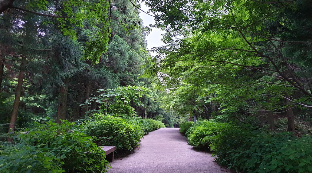 붉은오름 자연휴양림
