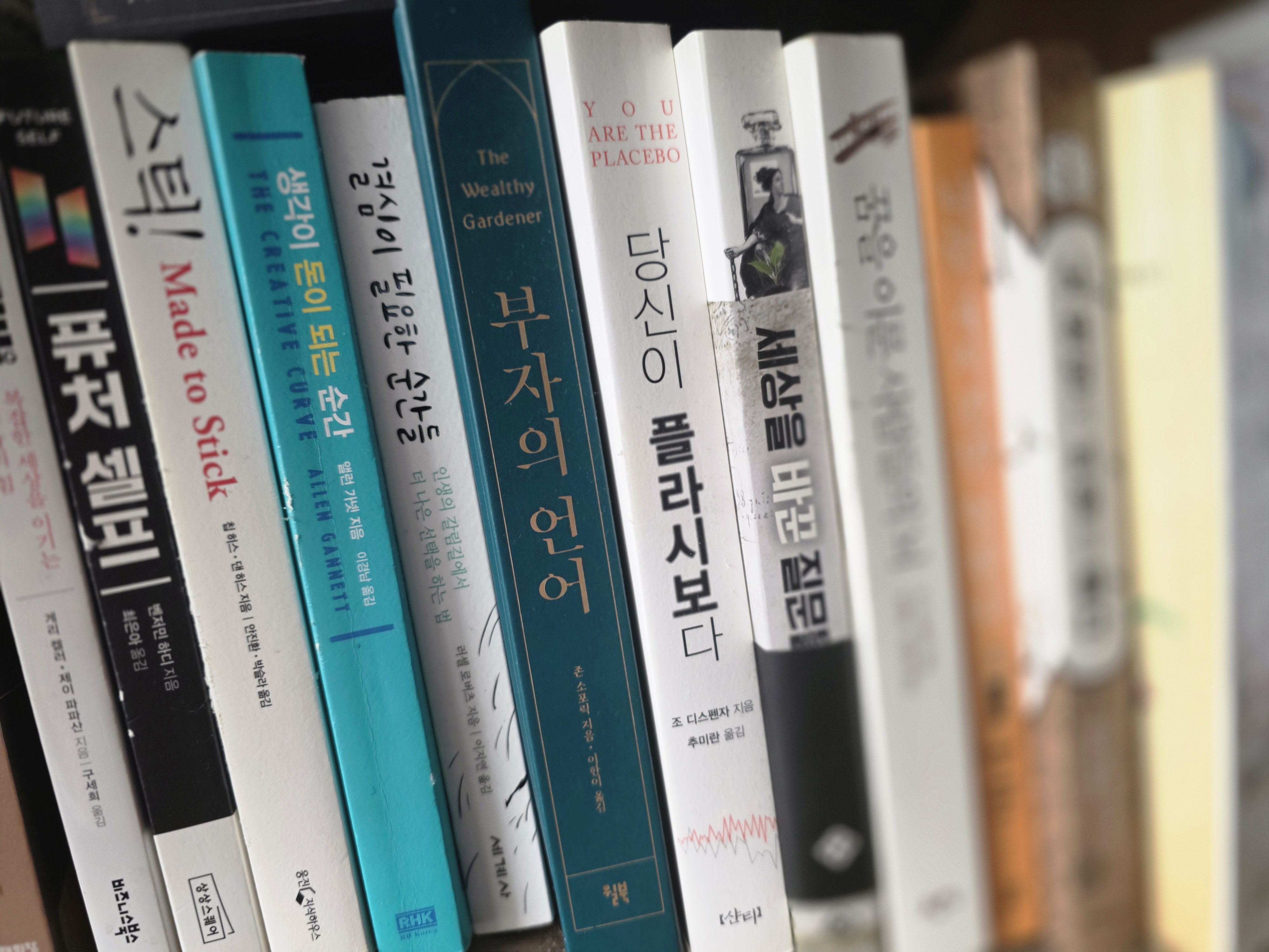당신이 플라시보다 -조 디스펜자