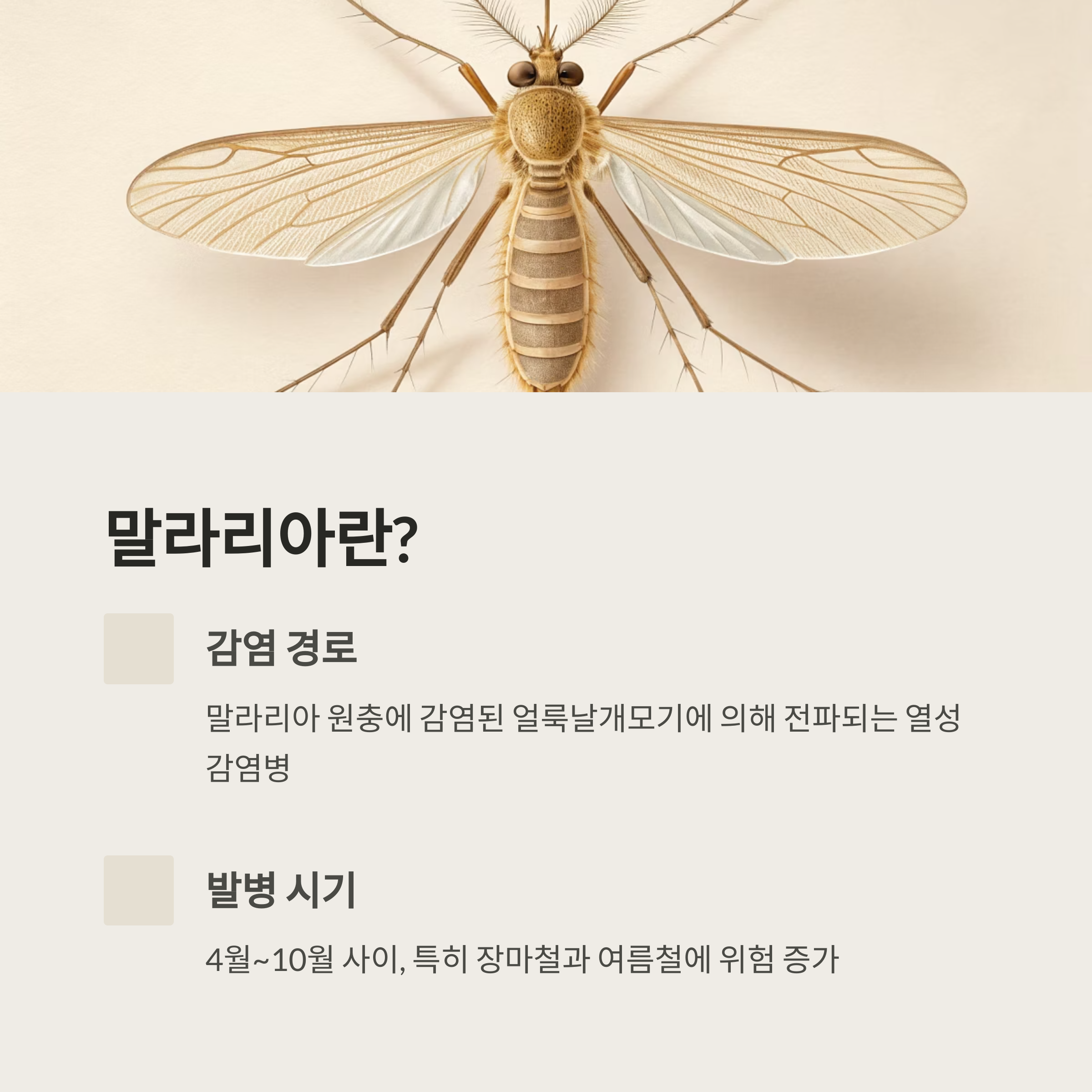 말라리아란?