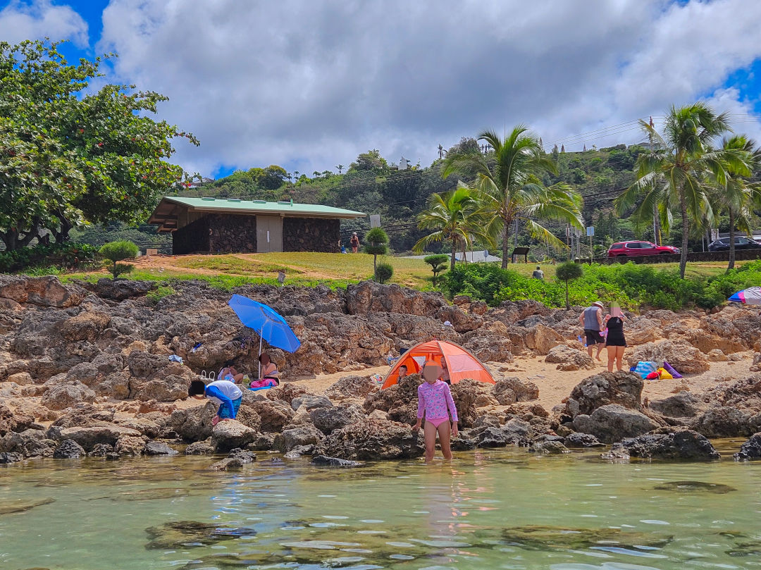 하와이 샥스코브 스노쿨링