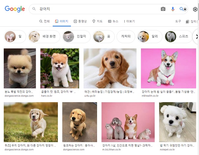 image downloader 사용법