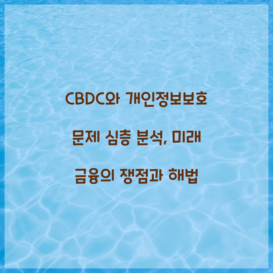 CBDC와 개인정보보호 문제 심층 분석