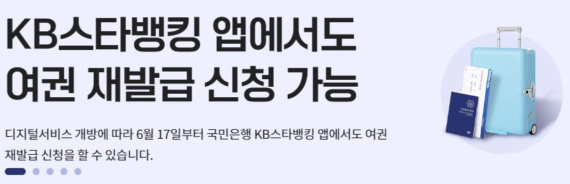 여권 재발급 온라인 신청 방법 (준비물, 비용, 사진)