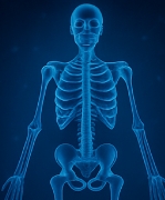 마그네슘이 풍부한 음식