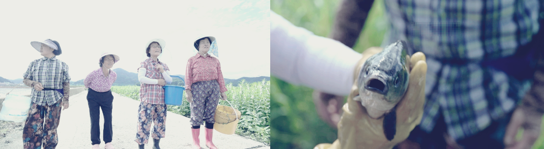 강이 품은 먹거리