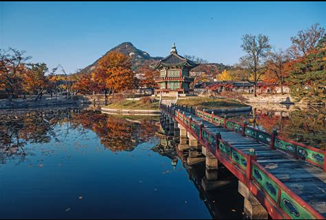 2025 전국 마라톤일정 총정리! 상반기부터 해외까지 한눈에