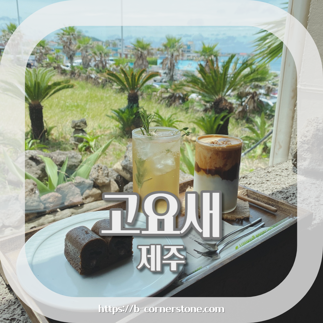 제주 고요새카페