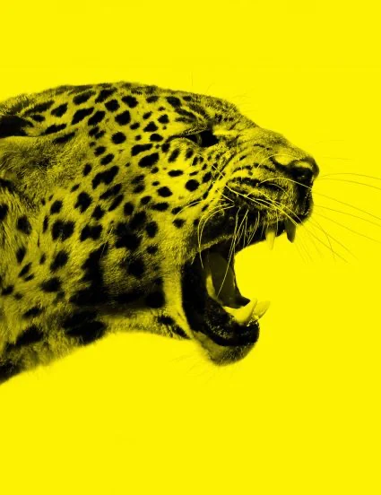 로카르노영화제