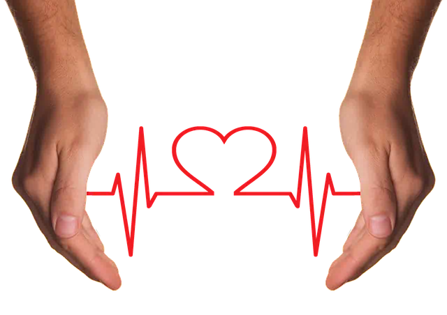 고지혈증 관련 이미지