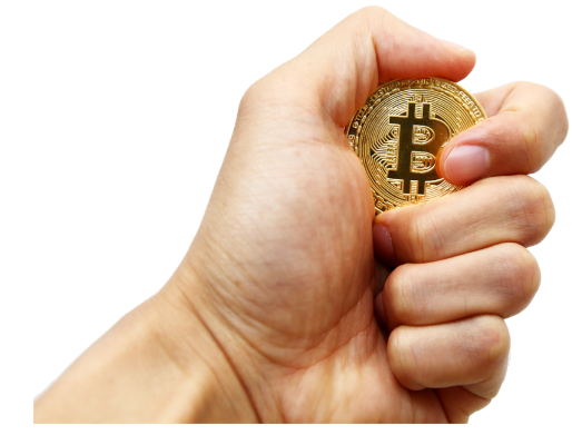 비트코인 도미넌스 뉴스 ETF 관련주 전망 알아보기 위너스 사태