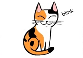 눈을 깜박이는 고양이 이미지
