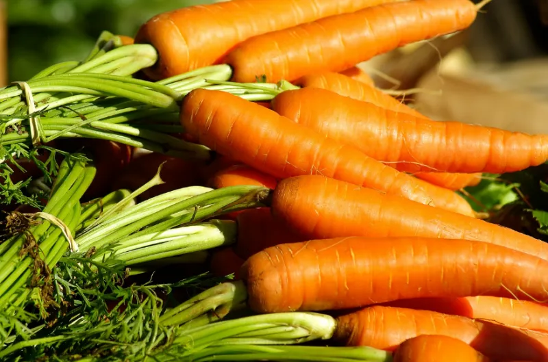 안구건조증에 도움 되는 음식들