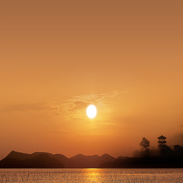 2026 신년운세 무료 보기