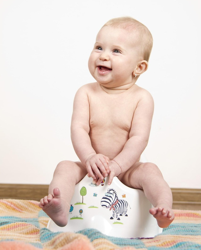 36개월 아이 배변훈련, 실패 없이 성공하는 현실 꿀팁