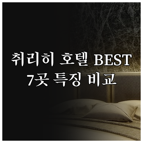 취리히 호텔 BEST 7 특징 가격 