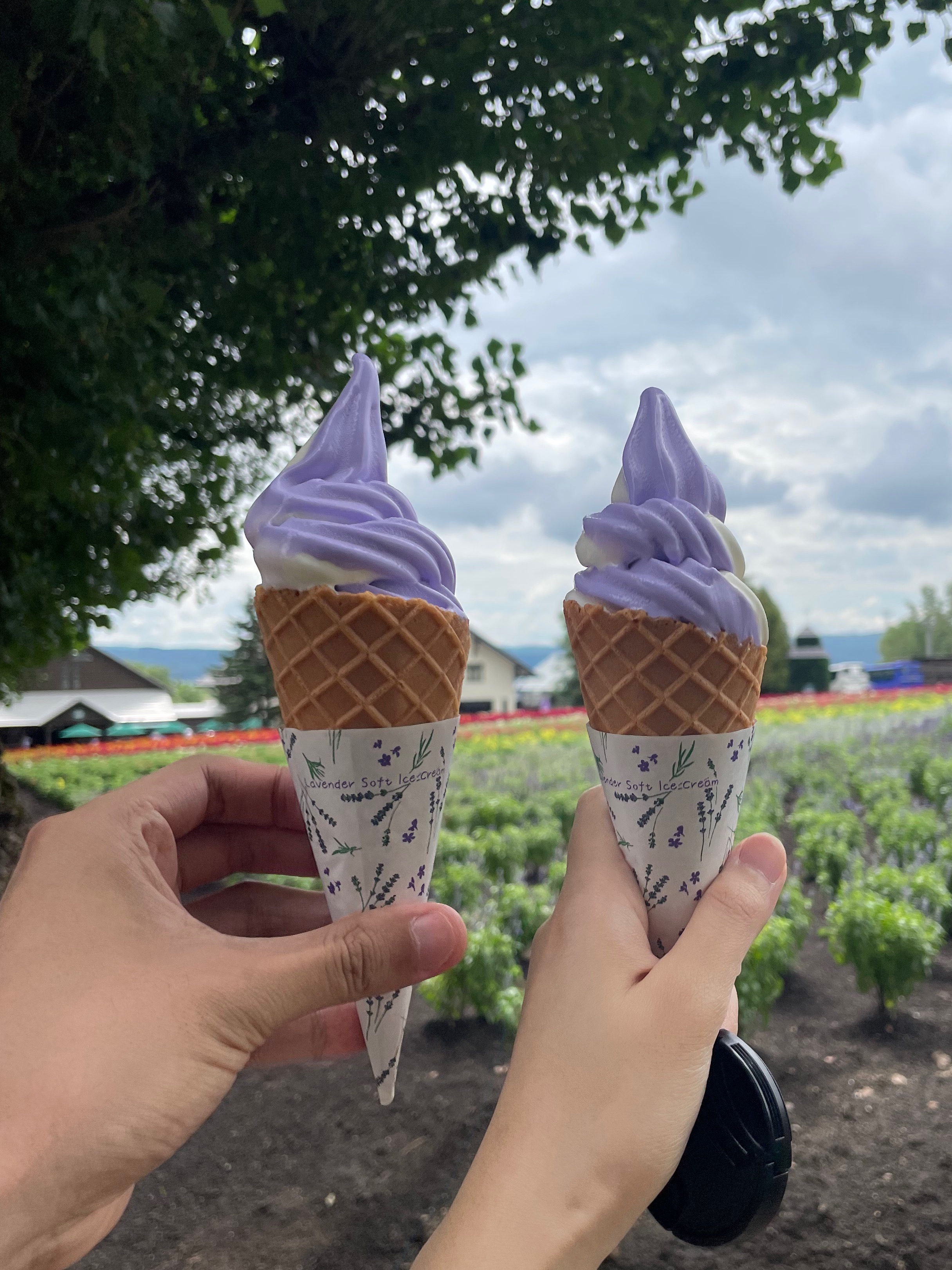 icecreams