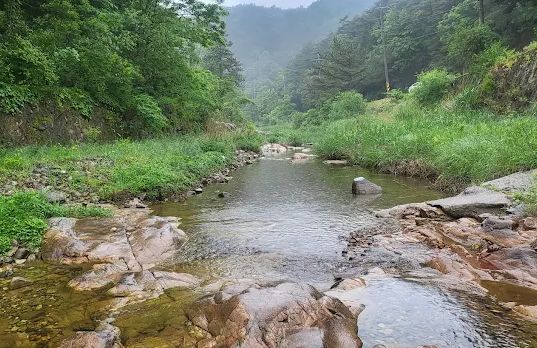 달기약수탕