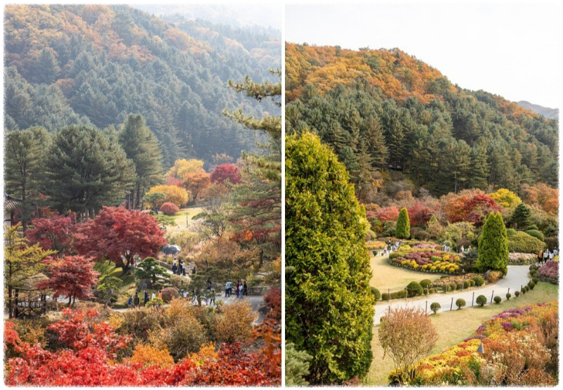 단풍명소