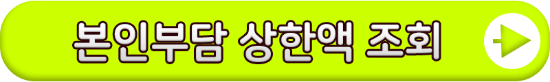 본인부담상한액초과금