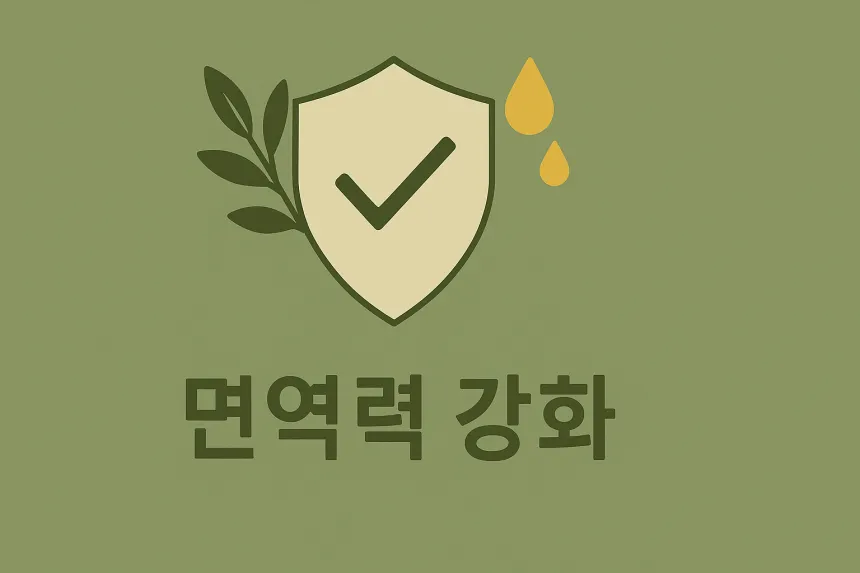 올리브오일 효능