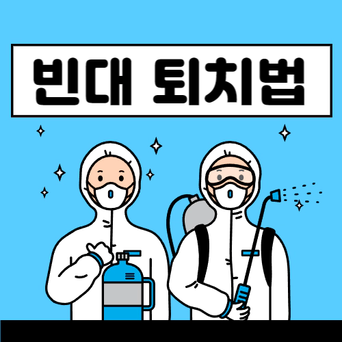 빈대 퇴치법