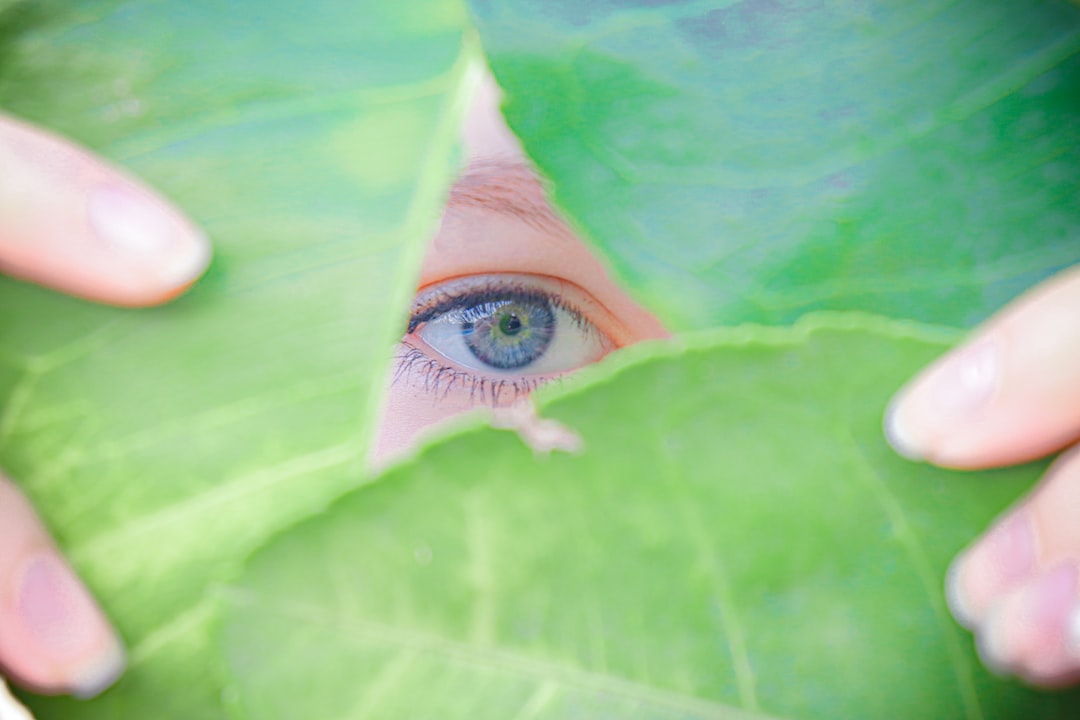 Eye.