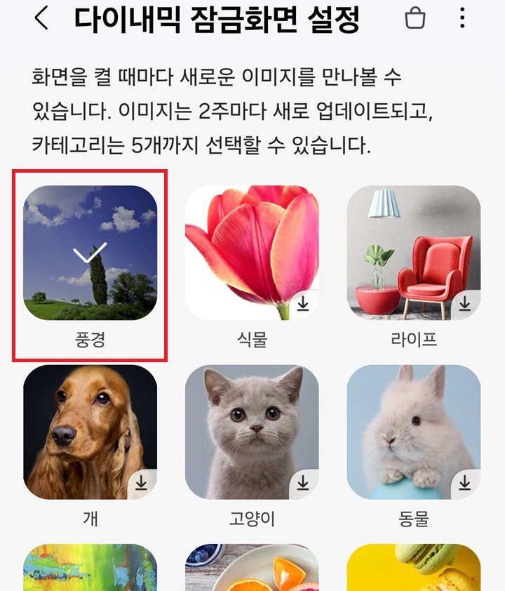 다운받은 카테고리에 체크 표시 보임